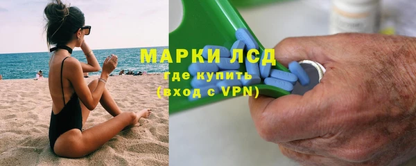 сатива Беломорск
