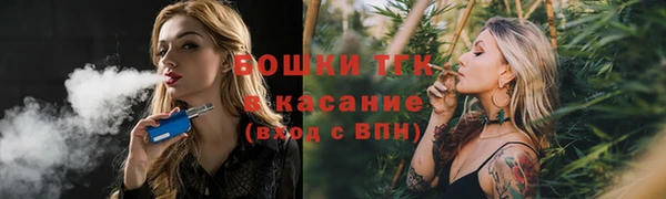 сатива Беломорск