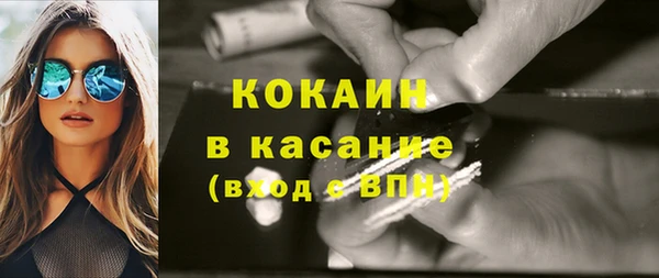 сатива Беломорск