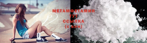 сатива Беломорск