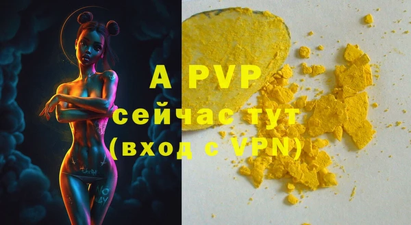 стаф Белоозёрский
