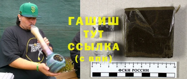 сатива Беломорск