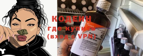сатива Беломорск
