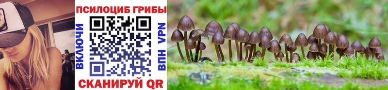 MEGA как войти  Бородино  Псилоцибиновые грибы прущие грибы 